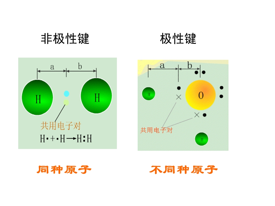 极性键和非极性共价键ppt课件.ppt_第1页