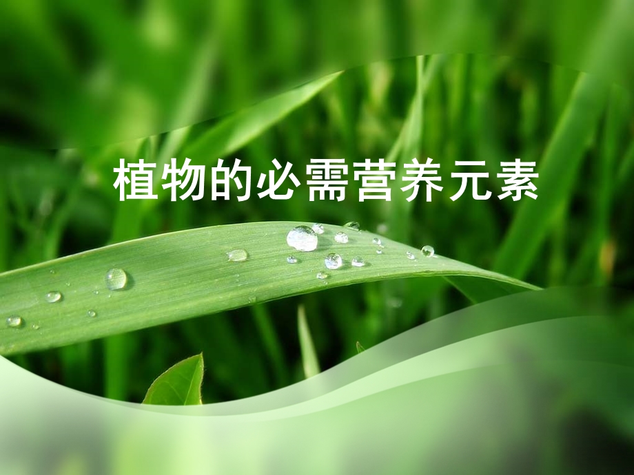 植物的必需营养元素ppt课件.ppt_第1页