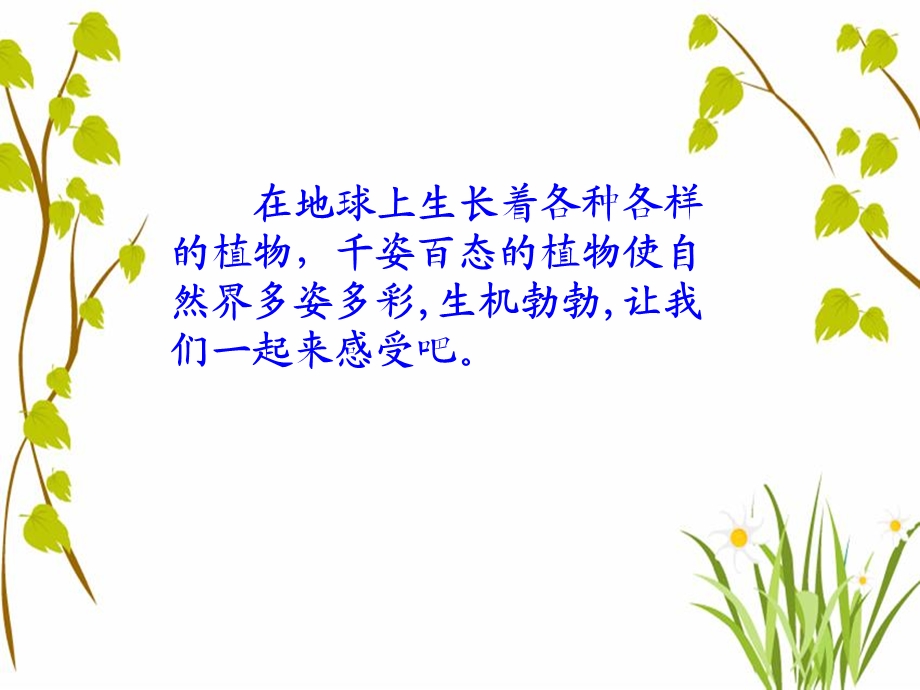 植物博览会ppt课件.ppt_第1页