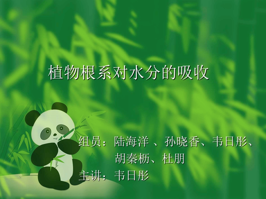 植物根系对水分的吸收ppt课件.ppt_第1页