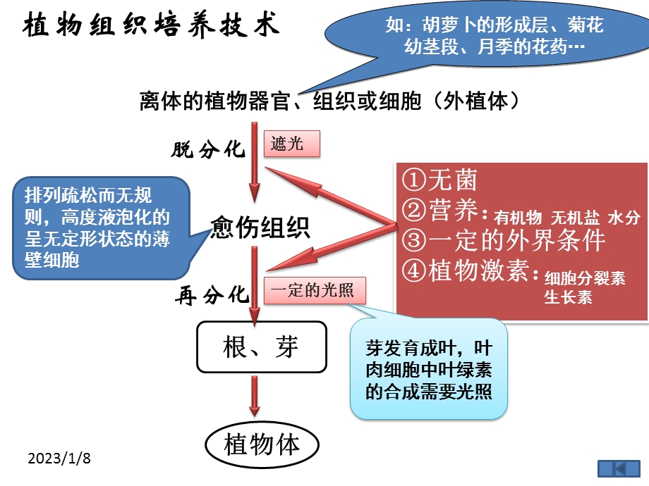 植物细胞工程的实际应用(上课用)ppt课件.ppt_第1页