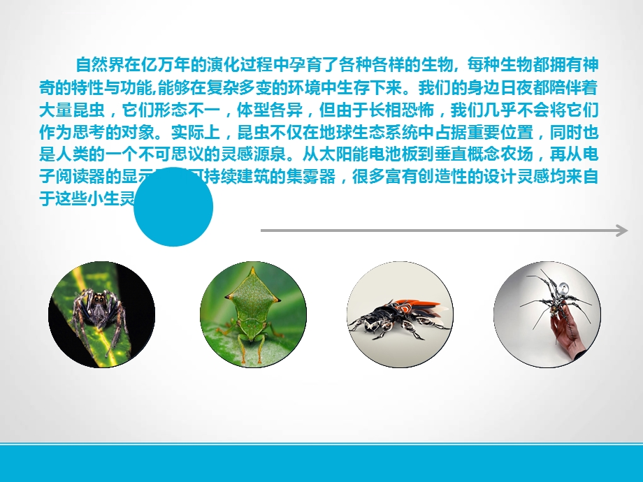 昆虫仿生机械ppt课件.ppt_第2页