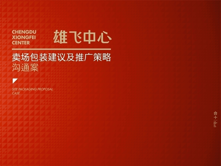 成都雄飞中心旗舰商业综合体项目卖场包装建议及推广策略ppt课件.ppt_第1页