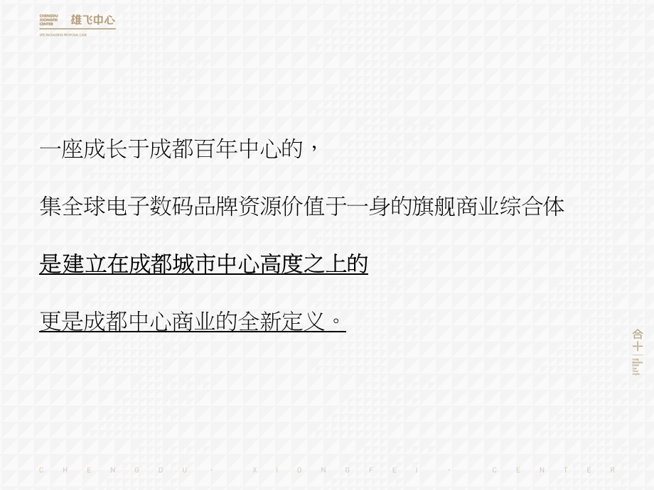 成都雄飞中心旗舰商业综合体项目卖场包装建议及推广策略ppt课件.ppt_第3页