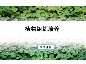 植物组织和细胞培养技术ppt课件.ppt