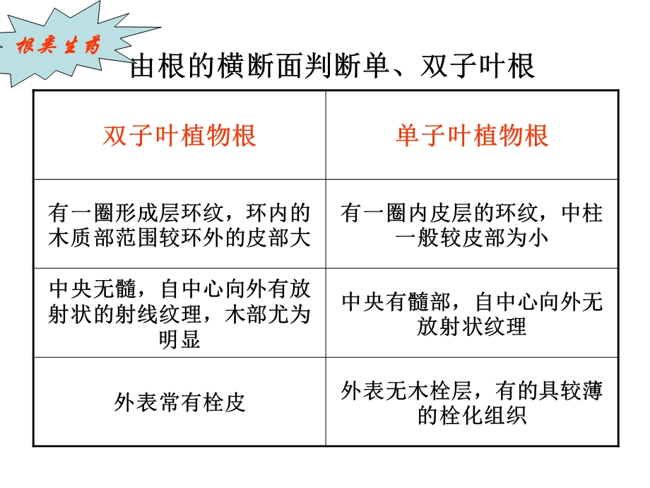 根及根茎类生药鉴别基础ppt课件.ppt_第2页