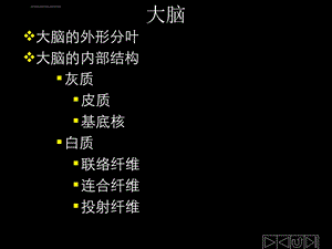 正常人体解剖学大脑ppt课件.ppt