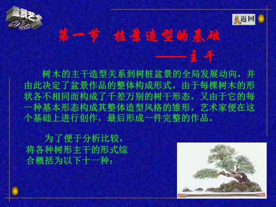 树桩盆景造型ppt课件.ppt_第2页