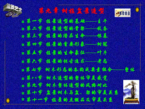 树桩盆景造型ppt课件.ppt