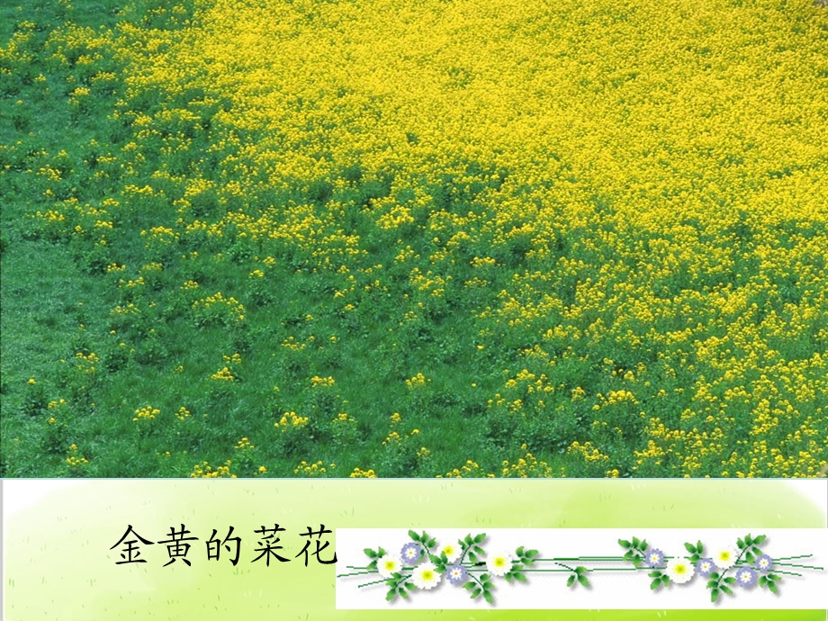 植物妈妈有办法PPT课件部编版.ppt_第1页