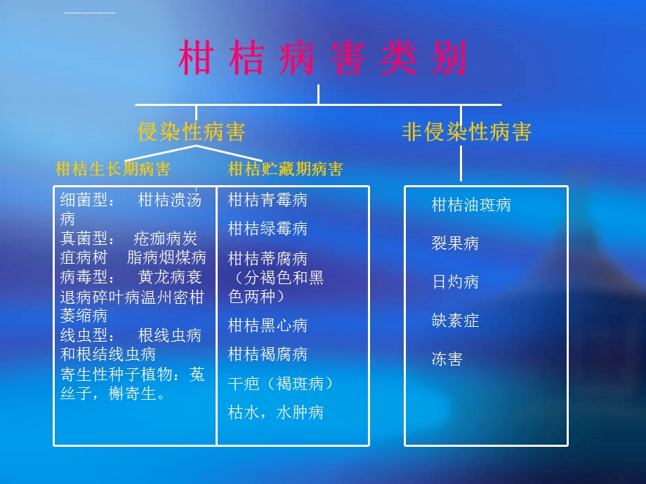 柑橘常见病虫害ppt课件.ppt_第3页