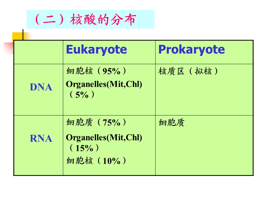 核酸种类分布 与功能ppt课件.ppt_第2页