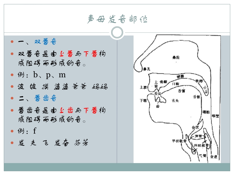 普通话声母发音训练ppt课件.ppt_第3页