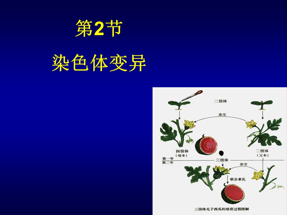 染色体变异（正式版）ppt课件.ppt_第1页