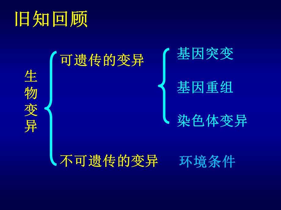 染色体变异（正式版）ppt课件.ppt_第2页