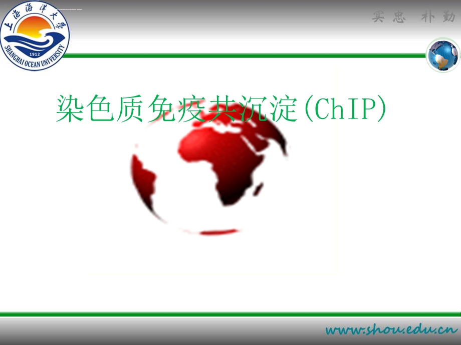 染色质免疫共沉淀ppt课件.ppt_第1页