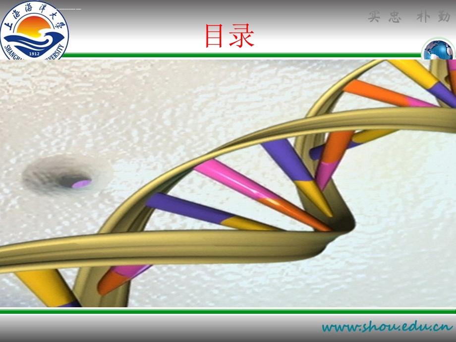 染色质免疫共沉淀ppt课件.ppt_第2页