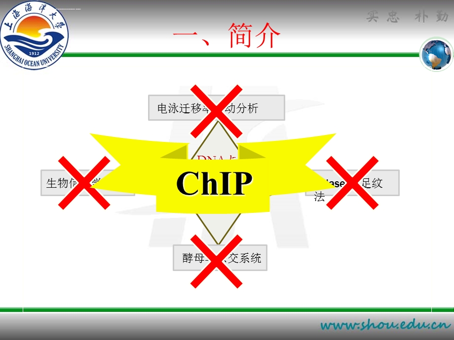 染色质免疫共沉淀ppt课件.ppt_第3页