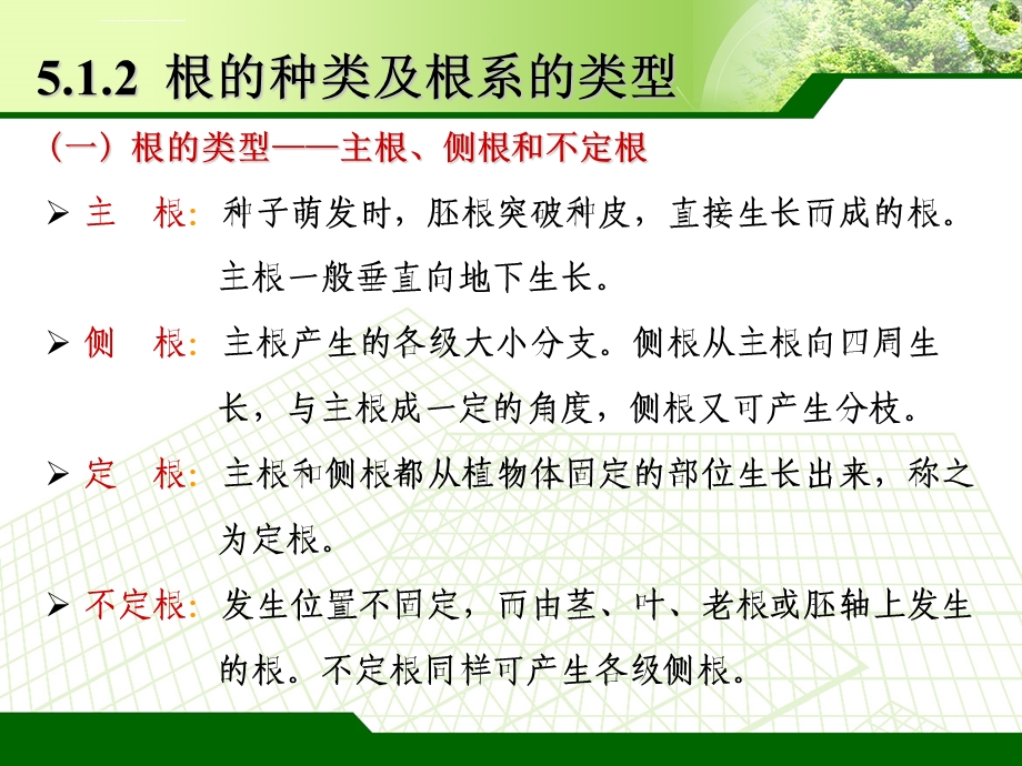 根的种类及根系的类型ppt课件.ppt_第1页