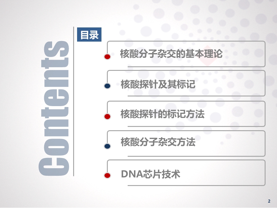 核酸分子杂交技术ppt课件.pptx_第2页