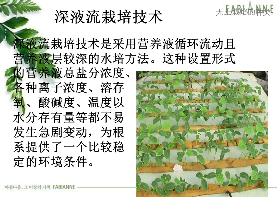 无土栽培的种类及特点ppt课件.ppt_第2页