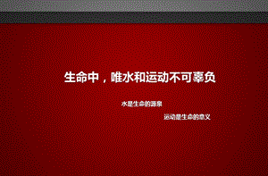 新余城北商务广场水上冲关体验出租ppt课件.pptx