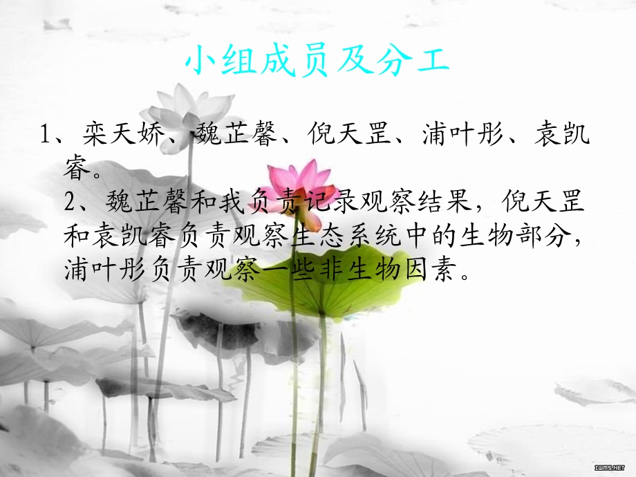 校园生态系统ppt课件.ppt_第3页