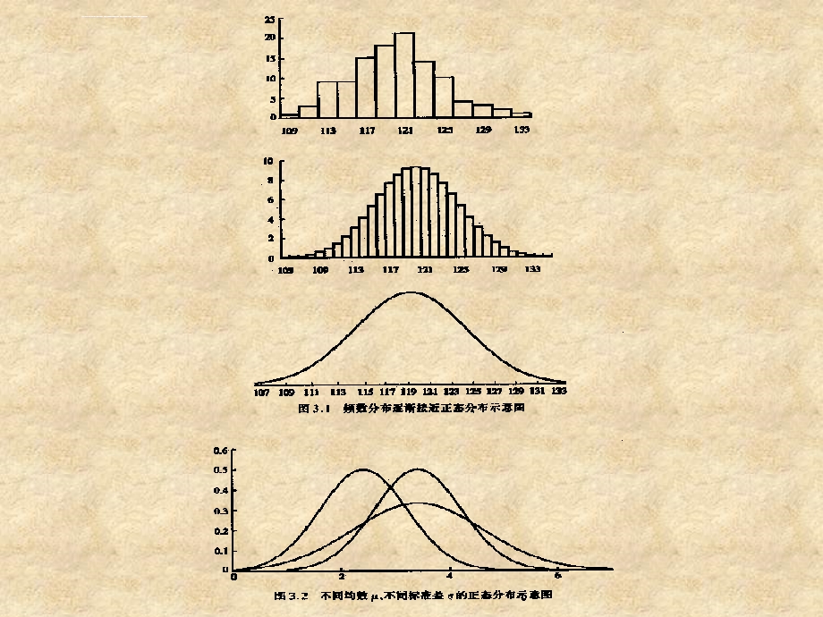正态分布及参考值范围估ppt课件.ppt_第3页