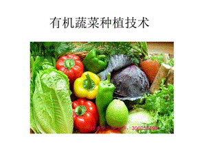 有机蔬菜种植技术ppt课件.ppt