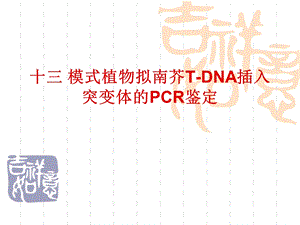 模式植物拟南芥TDNA插入突变体的PCR鉴定ppt课件.ppt