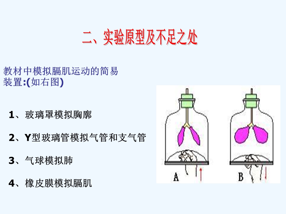 模拟膈肌运动实验装置改进ppt课件.ppt_第3页