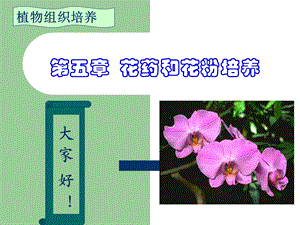 植物花粉和花药培养分析ppt课件.ppt