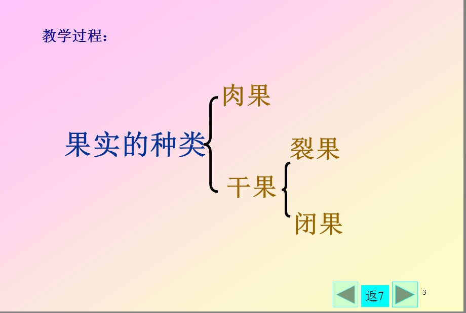 果实的种类ppt课件.ppt_第3页