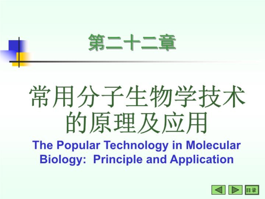 生物化学常用技术ppt课件.ppt_第2页