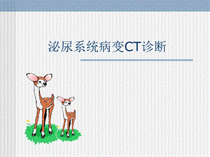 泌尿系统CT检查ppt课件.ppt