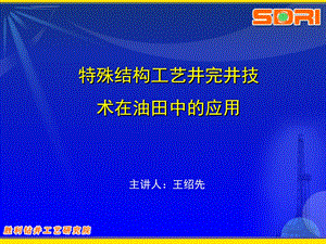 特殊工艺井完井技术ppt课件.ppt