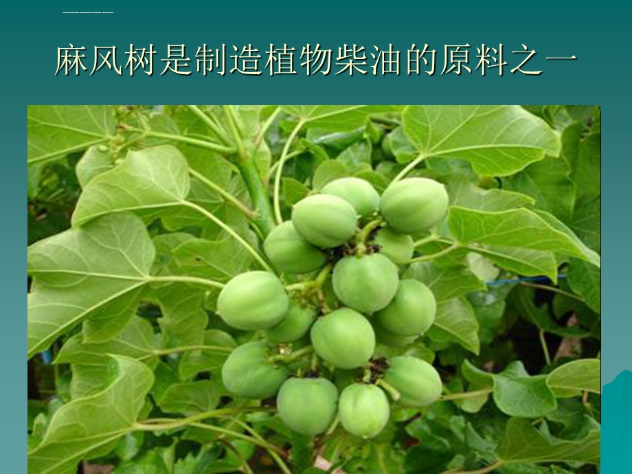 生物质能PPT课件.ppt_第2页