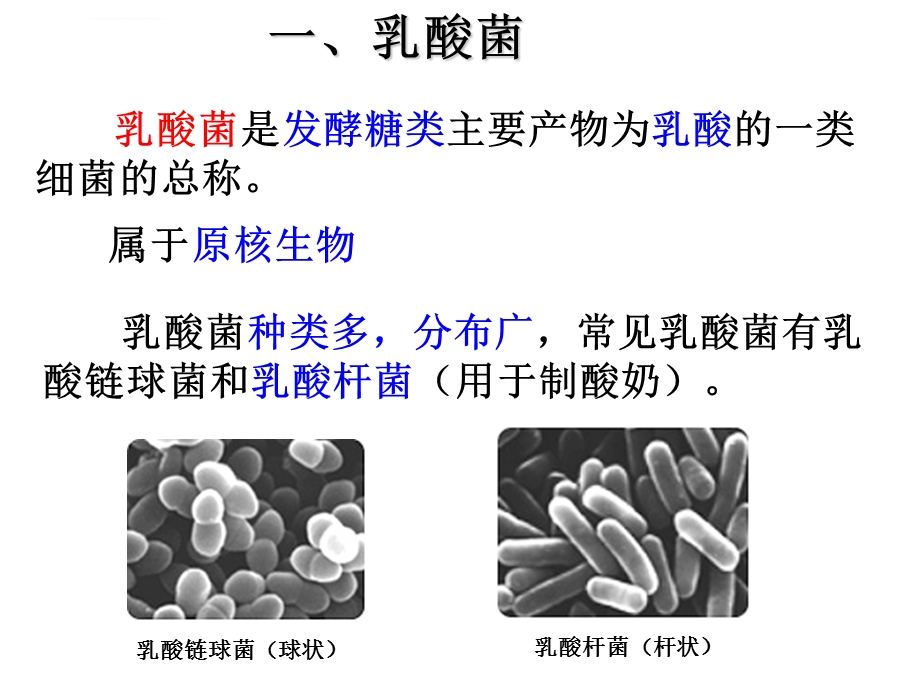 生物选修一泡菜制作ppt课件.ppt_第2页