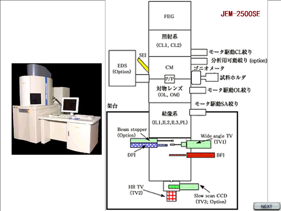 现代分析测试技术TEMppt课件.ppt_第2页