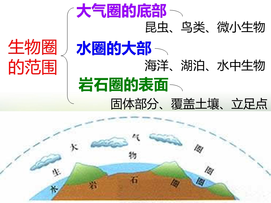 生物圈是最大的生态系统PPT课件.pptx_第3页