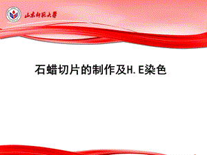 石蜡切片的制作及HE染色ppt课件.ppt