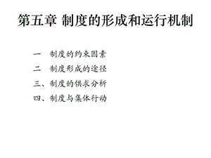 湖南大学制度经济学第四章制度的形成和运行机制ppt课件.ppt