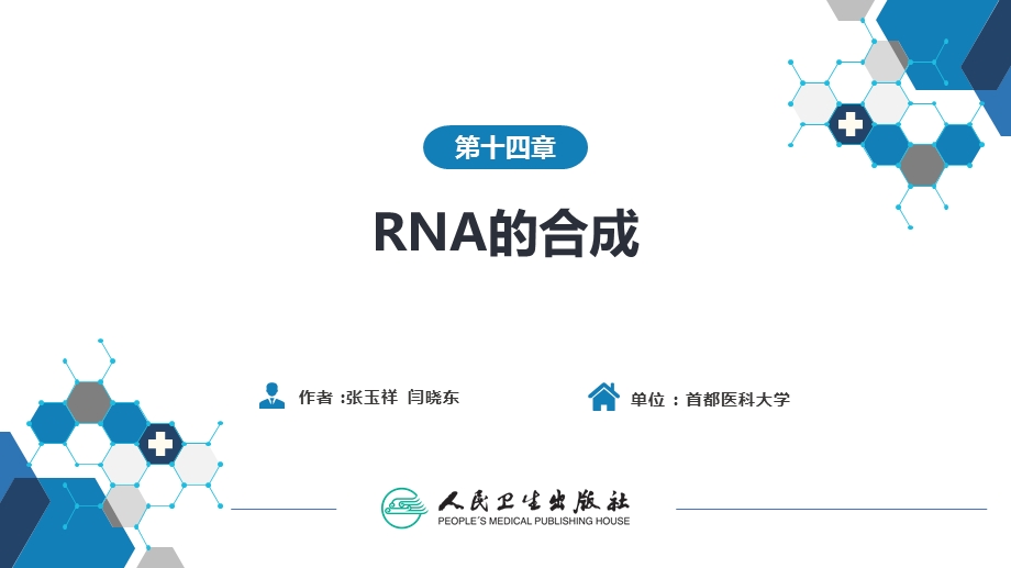 生物化学及分子生物学(人卫第九版)14 RNA的合成ppt课件.ppt_第1页