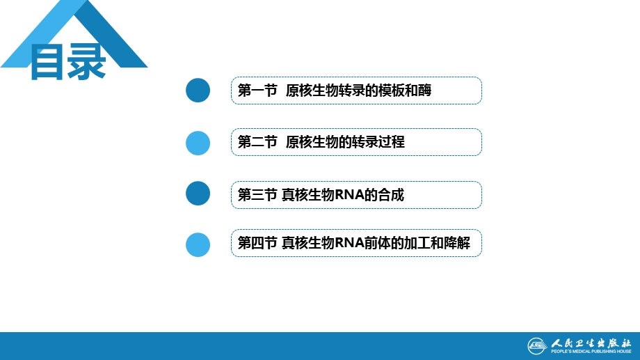 生物化学及分子生物学(人卫第九版)14 RNA的合成ppt课件.ppt_第2页