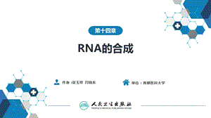 生物化学及分子生物学(人卫第九版)14 RNA的合成ppt课件.ppt