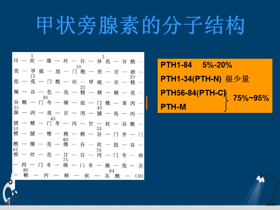 甲状旁腺功能减退精美详解演示文稿ppt课件.ppt_第3页