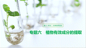 生物选修一专题六 植物有效成分的提取 一轮复习ppt课件.pptx