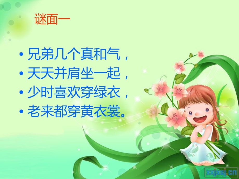 水果大聚会ppt课件.ppt_第2页