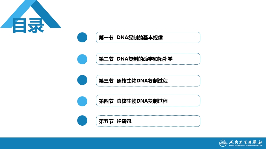 生物化学及分子生物学(人卫第九版)12DNA合成ppt课件.ppt_第2页