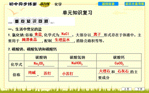 盐和化肥单元知识复习ppt课件.ppt
